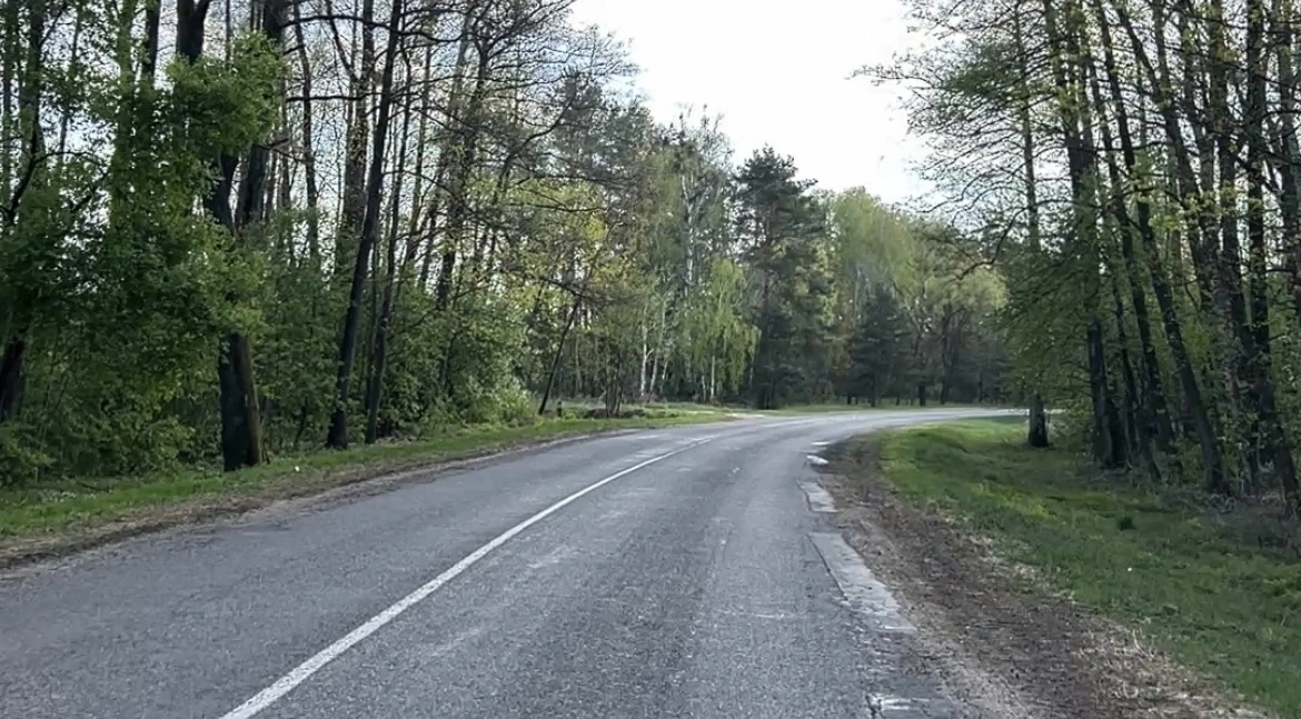 Лес и дорога в Малоритском районе на пути к Олтушу
